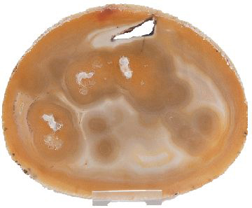 Agate slice