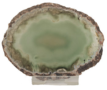 Agate slice