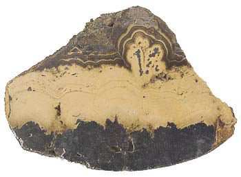 Schalenblende Slice
