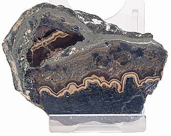 Schalenblende slice
