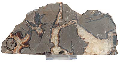 Septarian slice
